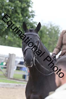 OOH-1499