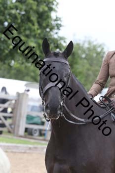 OOH-1500