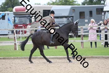 OOH-1509