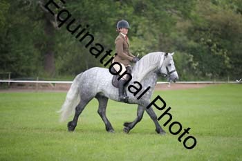 YKU-1003