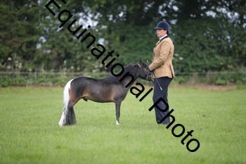 UTB-1010