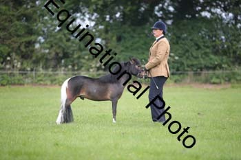 UTB-1011