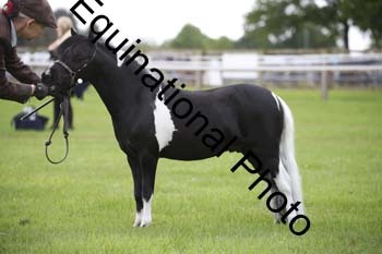 UTB-1037
