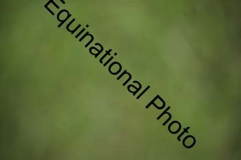 UTB-1059