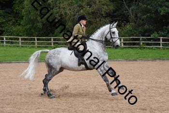 QPC-1082