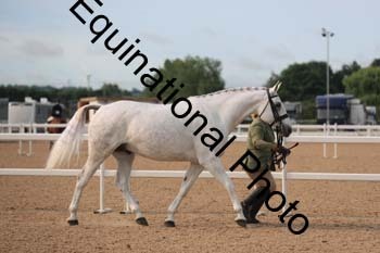 FHY-1020