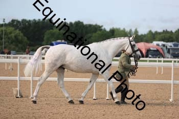 FHY-1022
