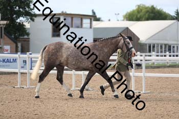 FHY-1079