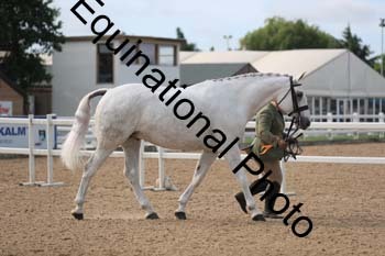 FHY-1084