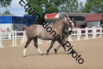 FHY-1189