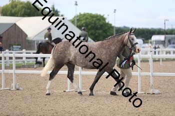 FHY-1208