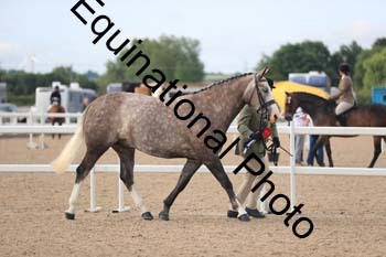 FHY-1209