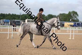 FHY-1259