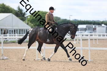 FHY-1364