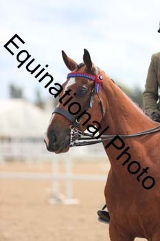 FHY-1938