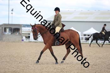 FHY-2012