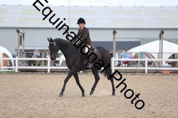 FHY-2013