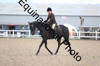 FHY-2014