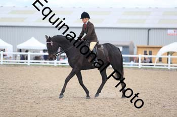 FHY-2015