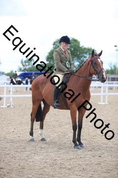 FHY-2016