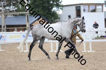 FHY-2071