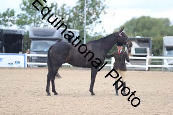 FHY-2072