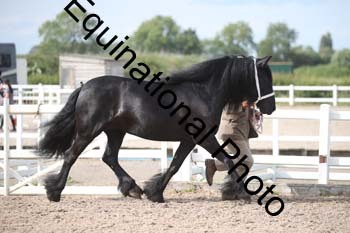 FHY-2384