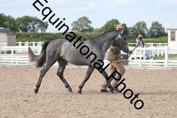 FHY-2477