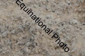PCH-1609