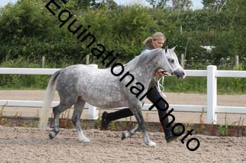 WNT-1027