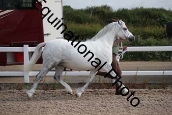 WNT-1058