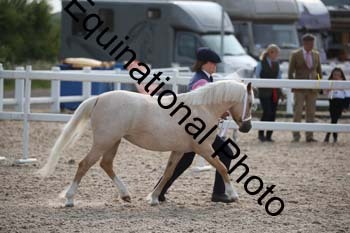 WNT-1066