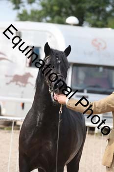 WNT-1284