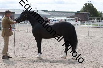 WNT-1289