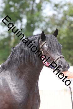 WNT-1428