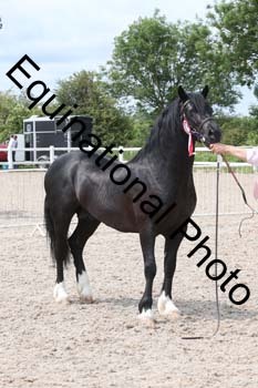 WNT-1435