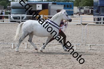 WNT-1468