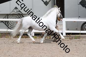 WNT-1474