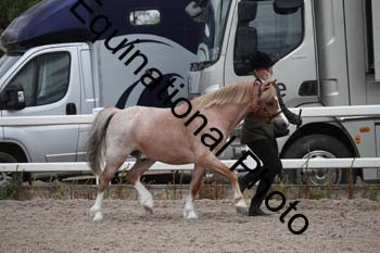 WNT-1489