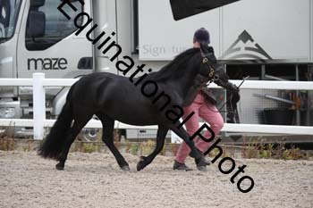 WNT-1494