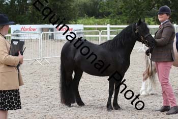 WNT-1543