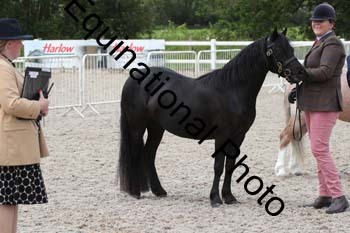 WNT-1545