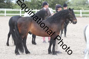 WNT-1548