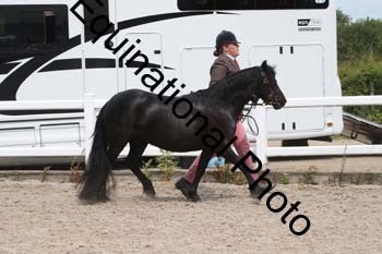 WNT-1567