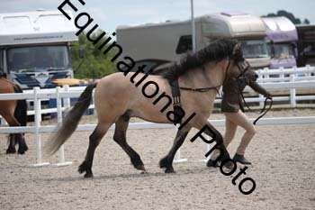 WNT-1574