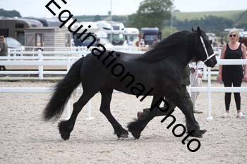 WNT-1583