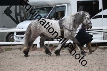 WNT-1595
