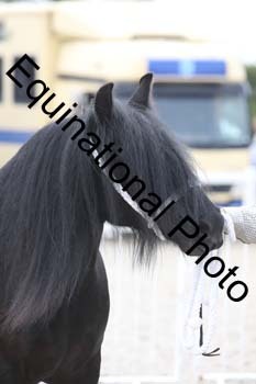 WNT-1599