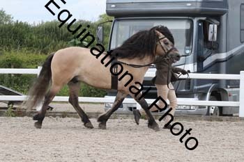 WNT-1637