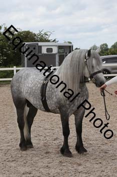 WNT-1674